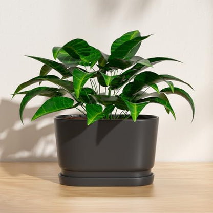 8.9" Rectangular Ceramic Planter with Drainage and Saucer, Black - color: Matte Black, size: Medium