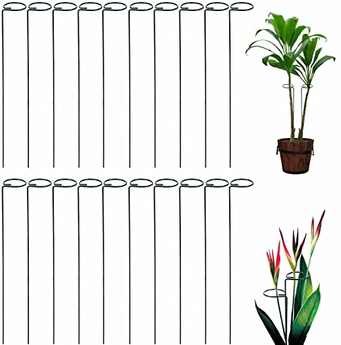 Plant Support Stakes, 20 Pack 24 Inch Metal Rings for Flower Stems