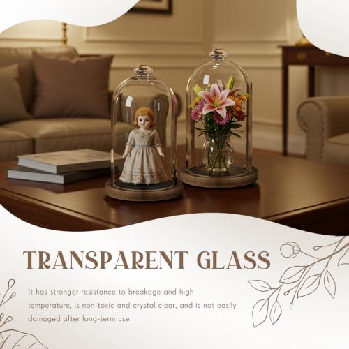 Suclain 1 Pcs 6 x 10 Inch Cloche Glass Dome with Base Bell Jar, Dark Brown - color: Dark Brown