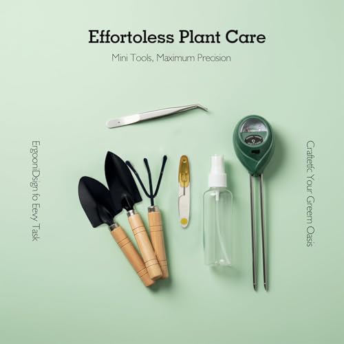 Soliseed Indoor Herb Garden Kit, Transparent Pots with Gardening Tools