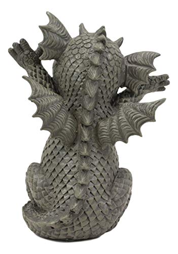 Ebros 5.25" Tall Hug Me Please! Small Baby Garden Dragon with Wide Open Arms Statue Fantasy Faux Stone Resin Finish Figurine - color: 5.25"tall Small Baby Dragon Hug Me Please