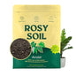 Rosy Soil Aroid Soil Mix, Chunky Biochar Potting Mix, 4 Quarts - color: Aroid, size: 4 Quarts