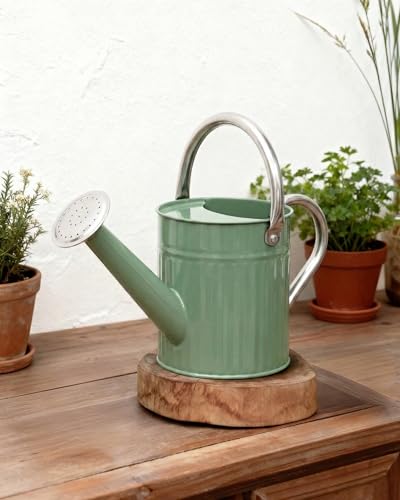 Bamworld Metal Watering Can for Indoor Outdoor Plant 1/2 Gallon Green - color: Creamy Green