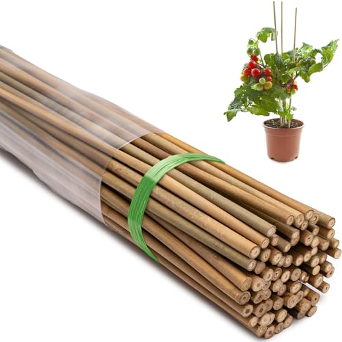 Bamboo Stakes, 5 Feet (58 inch), 70 Pcs - size: 5ft-70 Pack