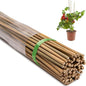 Bamboo Stakes, 5 Feet (58 inch), 70 Pcs - size: 5ft-70 Pack