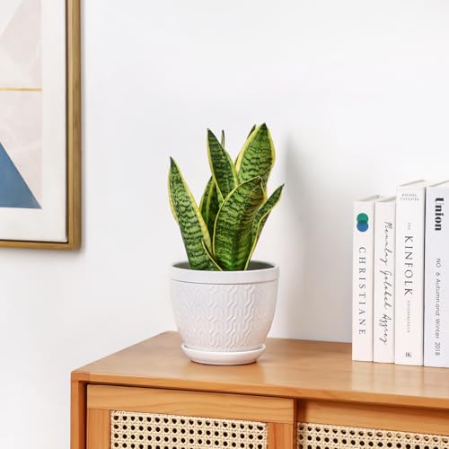 6.5" Ceramic Plant Pots Set of 2, Crisp White Embossed Planters with Saucer - color: White, size: 6.5 inch