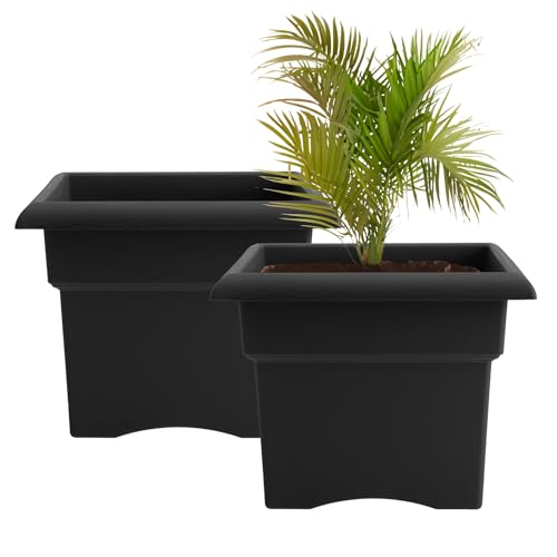 Bloem Veranda 14" Plastic Square Planter Box, Black, 2-Pack - color: Black, size: 14" (Pack of 2)