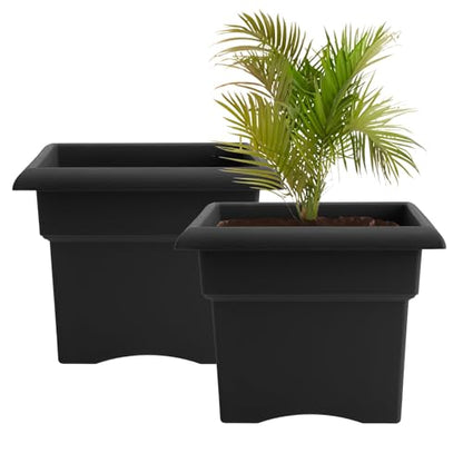 Bloem Veranda 14" Plastic Square Planter Box, Black, 2-Pack - color: Black, size: 14" (Pack of 2)