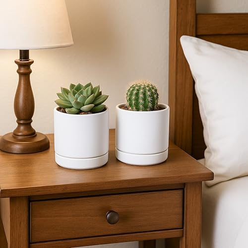 D'vine Dev 4-Pack Ceramic Pots with Saucers, White, 4.7 in, 94-X-B-1 - color: White, size: 4.7 Inch
