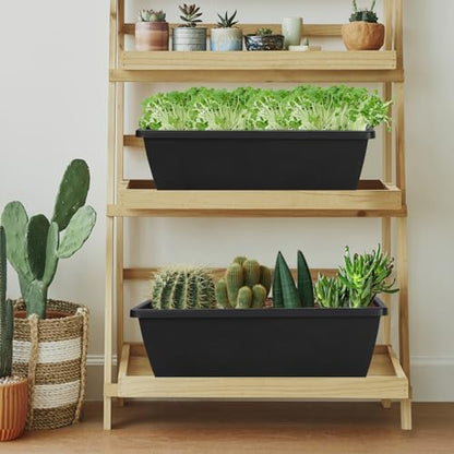 12Pcs 17Inches Rectangle Planter Box with Drainage Holes and Trays - color: Black