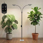 GLOWRIUM Grow Lights for Indoor Plants,Full Spectrum Plant Light with Stand - color: Black-Double Head
