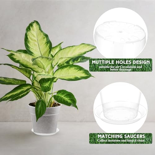 Baderke 3 Pack Clear Nursery Pot,8 Inches - size: 8 Inches