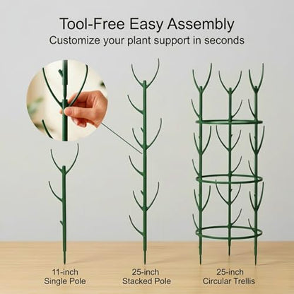 10-Pack Monstera Plant Support Stakes - Stackable Sticks