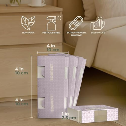Carpet Beetle Traps – 12 Pack | Sticky Indoor Glue Boards for Carpet Beetles, Larvae & Other Crawling Insects | Non-Toxic Pest Control Trap & Monitor for Closets, Storage Areas, and More