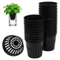 50 Pack 2 Inch Net Pots for Hydroponics