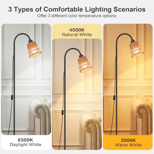 Boho Black Floor Lamp for Living Room,Bulb Included - color: Black-1
