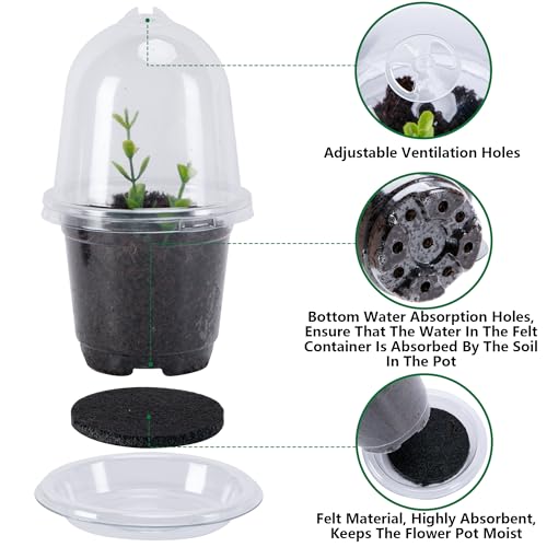EBaokuup 20 Pack Self Watering Seed Starter Pot, 3 Inch Automatic Watering Plant Nursery Pots with Humidity Dome, Self Watering Nursery Pots for Potted Plants Seed Germination - color: 20 Pack-clear
