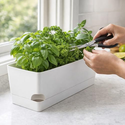 Party Zealot Window Boxes Planters, 5 Pack Self Watering Pots for Indoor Plants 17 Inch Rectangular Planter Rectangle Flower Pots Long Plant Pot Large Window Sill Herb Planter Box, White - color: White
