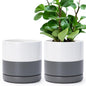 D'vine Dev 2-Pack Ceramic Pots with Saucers, White/Grey, 6.5 in, 94-V-C-6 - color: White/Speckled Grey, size: 6 Inch