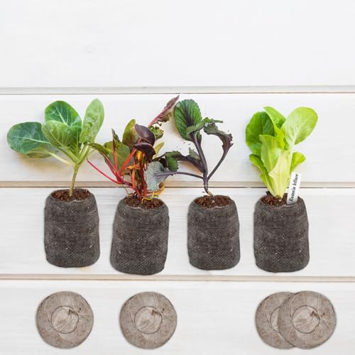 ZeeDix Peat Pellets for Seed Starting, 100 Pcs 30mm Seed Starter Soil Pods - size: 30mm