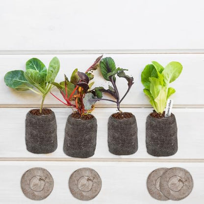 ZeeDix Peat Pellets for Seed Starting, 100 Pcs 30mm Seed Starter Soil Pods - size: 30mm