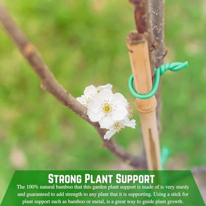 Farm Plastic Supply - Bamboo Garden Stakes - Bambo Sticks, Bamboo Plant Stakes for Outdoor Plants, Plant Support Stakes for Indoor Plants (4 Foot - 25 Pack) - size: 4 Foot - 25 Pack
