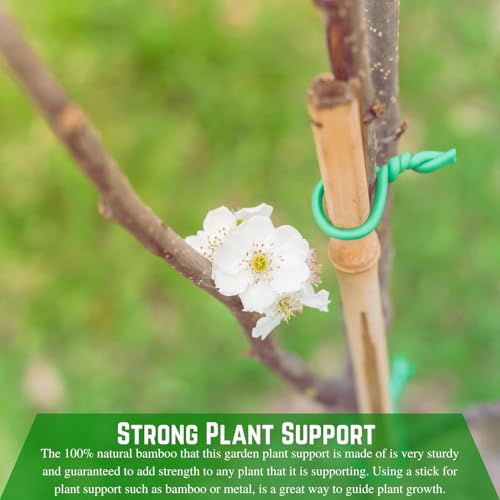 Farm Plastic Supply - Bamboo Garden Stakes - Bambo Sticks, Bamboo Plant Stakes for Outdoor Plants, Plant Support Stakes for Indoor Plants (4 Foot - 100 Pack) - size: 4 Foot - 100 Pack