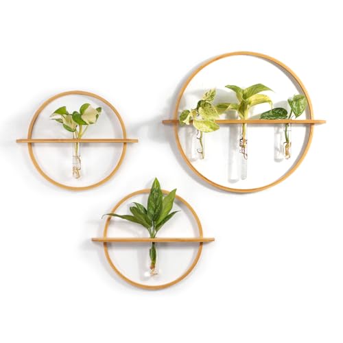 Plant Propagation Stations - Set of 3 Bamboo Wall Planters for Indoor Plants with 5 Glass Plant Propagation Tubes | Propagation Vases for Plants | Aesthetic Plant Wall Decor