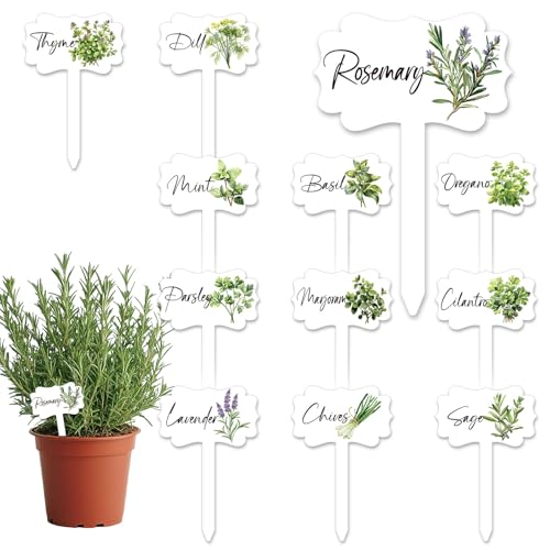 AnyDesign 24Pcs Acrylic Herb Plant Label Signs 12 Styles Garden Herb Markers Waterproof T-Type Tags Plant Stake Tags with Names for Nursery Indoor Outdoor Garden Decor