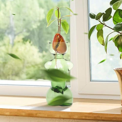 Plant Propagation Jars Unique Body Avocado Vase - color: Green