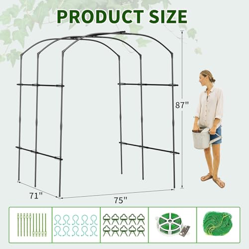 DoCred 87''H x 75''L Garden Arch Trellis, Metal Trellis for Climbing Plants - size: 75'' L x 71'' W x 87'' H/Black