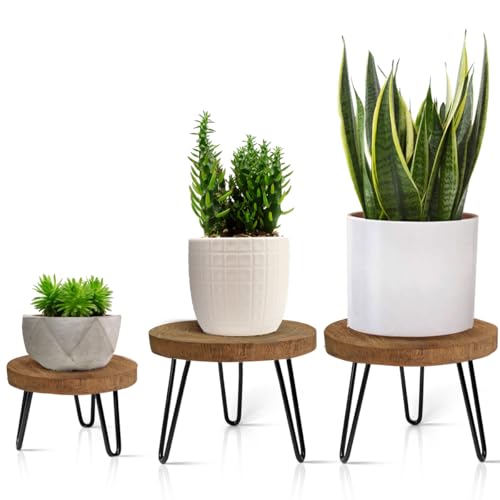 Plant Stand Indoor Outdoor, Wooden plant Stool, Mid Century Plant Stand for Indoor Plants, Wood Modern Plant Holder Rattan Flower, Low Short Boho Rustic Planter Stand Fit 5-15 Inch Pot(S,M,L) 3Pack - size: Small, Medium & Large (3-Pack)