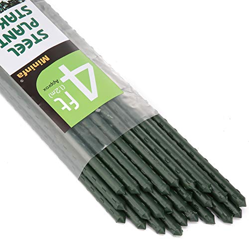 Mininfa Steel Plant Stakes 4 Feet, Plastic Coated Metal Garden Stakes Supports Climbing for Tomatoes, Trees, Beans, 25 Pack - size: 4 Feet 25 Pack