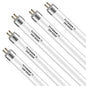 VIVOSUN T5 Grow Light Bulbs 2Ft 22 Inches, 24W 6500K HO Light Bulbs, 5-Pack - size: 2 Feet