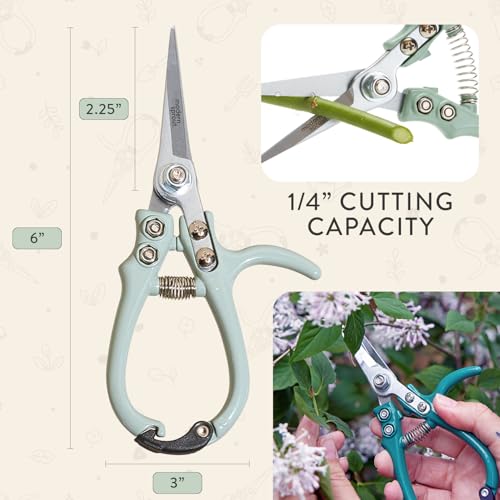 Modern Sprout Pruning Shears - Garden Snips - Herb Scissors - Sage 1-Pack - color: Sage