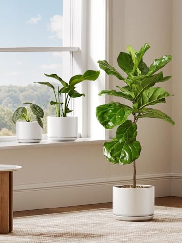 LE TAUCI 10 inch Plant Pot, Ceramic Pots for Plants, White - color: White, size: 10"