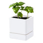 D'vine Dev Plastic Herb Planter Pot, 4 in, White, 76-Y-A1-1 - color: White, size: 4 Inch x 4.5 Inch