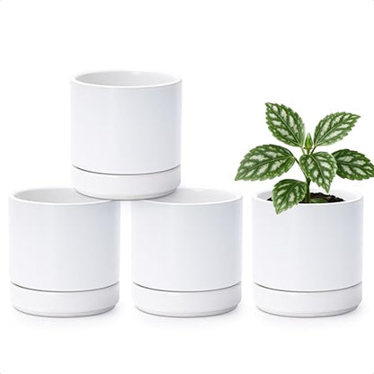 D'vine Dev 4-Pack Ceramic Pots with Saucers, White, 4.7 in, 94-X-B-1 - color: White, size: 4.7 Inch