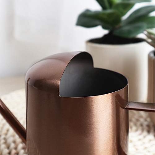 Mini Watering Can, 10oz/300ml Stainless Steel Long Spout Small Watering Can for Indoor Plants Succulents, Herbs (Bronze) - color: Copper