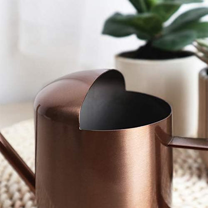 Mini Watering Can, 10oz/300ml Stainless Steel Long Spout Small Watering Can for Indoor Plants Succulents, Herbs (Bronze) - color: Copper