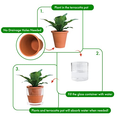D'vine Dev Self Watering Terracotta Planter Pot, 4 in, 2-Pack, 37-Y-A-1 - color: Terracotta, size: 4 Inch