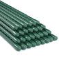 25 Pack 36 Inch Plant Stakes for Peppers,Beans & Tomatoes - size: 36 Inches