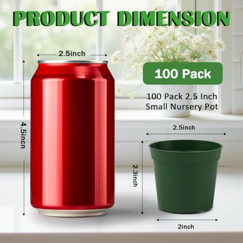 100 Pack 2.5 Inch Small Plant Pots, Plastic Nursery Pots for Plants - color: Green, size: 2.5Inch-100P