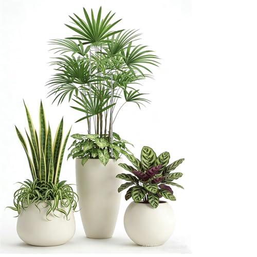 6 Pack Extendable Metal Plant Stakes for Indoor Plants Flowers, Tomatoes