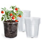 Bluepro Clear Nursery Pots with Drainage Holes, 5 Inch, 30-Pack - size: 5 Inch-30Pcs