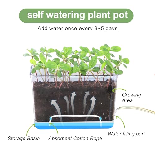 Oliz 4pk Self-Watering Windowsill Planters, Clear Plastic w/Drainage Holes