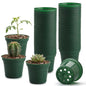 50 Pack 3 Inch Plastic Nursery Pot with Drainage Holes, Raised Base - color: Green, size: 3"-50P