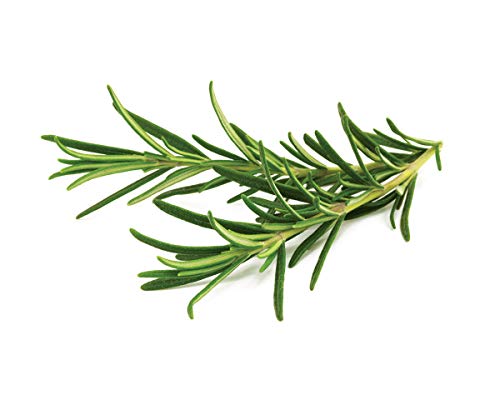 Click and Grow Smart Garden Rosemary Plant Pods, 3-Pack