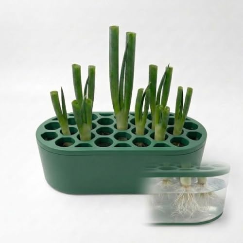 Mini Green Onion Regrower Kit, Hydroponic Scallion Planter Box with Hexagonal Honeycomb Lid, Soil-Free Indoor Herb Water Propagation Tub for Kitchen Countertop（Green） - color: Green