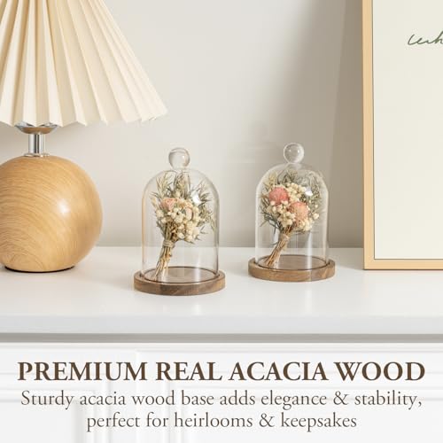 MyGift Mini Clear Glass Bell Display Cloches with Premium Acacia Solid Wood Base, Decorative Dome Cover Stands for Small Heirloom Jewelry Curios Keepsakes, Set of 2